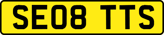 SE08TTS
