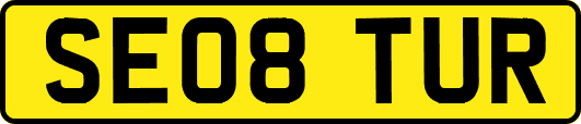 SE08TUR
