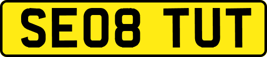 SE08TUT