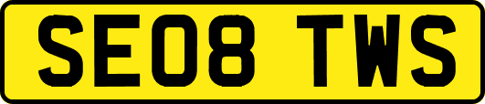 SE08TWS