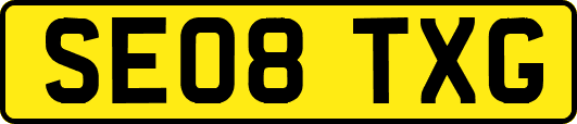 SE08TXG