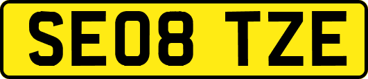 SE08TZE