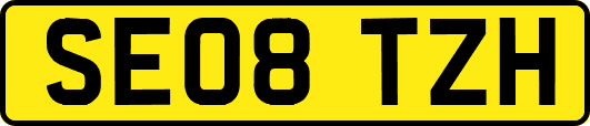 SE08TZH