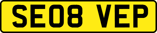 SE08VEP