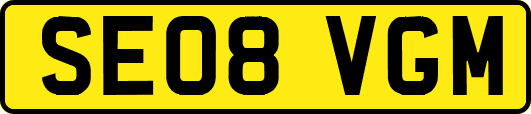 SE08VGM