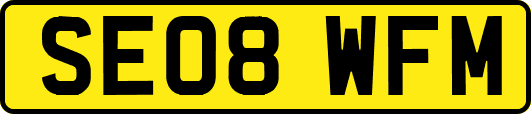 SE08WFM