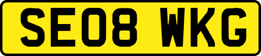 SE08WKG