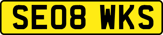 SE08WKS