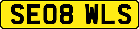 SE08WLS
