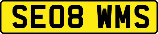 SE08WMS