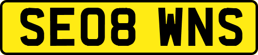 SE08WNS
