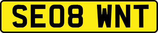 SE08WNT