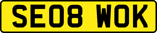 SE08WOK