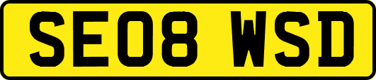 SE08WSD
