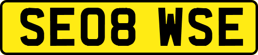 SE08WSE