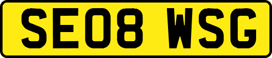 SE08WSG