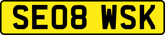 SE08WSK