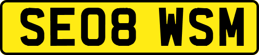 SE08WSM