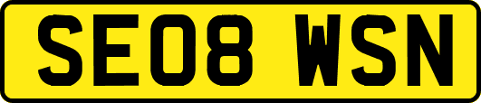 SE08WSN