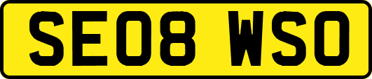 SE08WSO