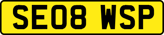 SE08WSP