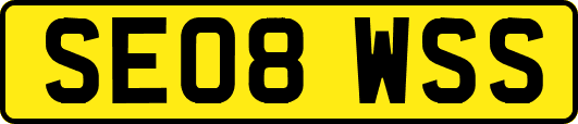 SE08WSS