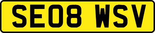 SE08WSV