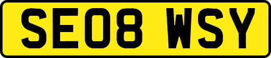 SE08WSY