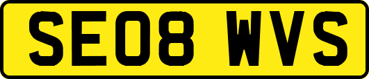 SE08WVS