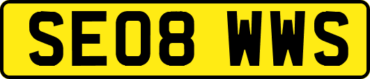 SE08WWS