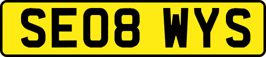 SE08WYS