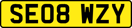 SE08WZY