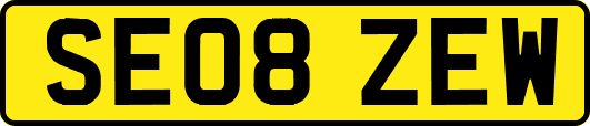 SE08ZEW