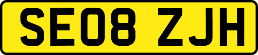 SE08ZJH