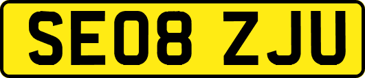 SE08ZJU