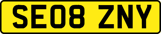 SE08ZNY
