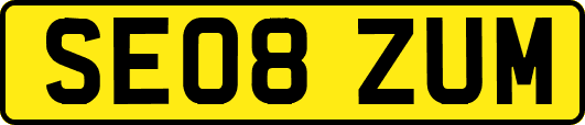 SE08ZUM