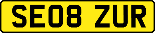 SE08ZUR