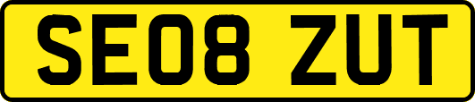 SE08ZUT