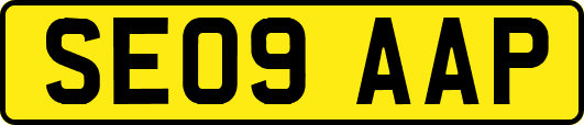 SE09AAP