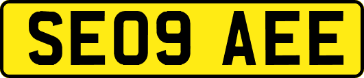 SE09AEE