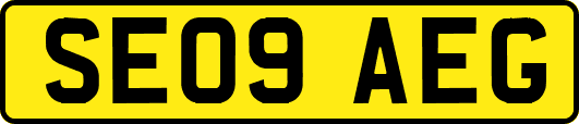 SE09AEG