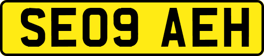 SE09AEH