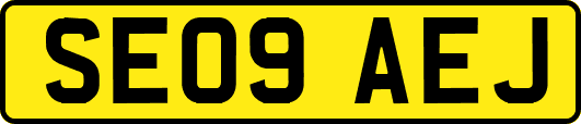 SE09AEJ