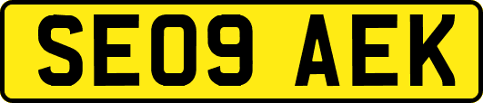 SE09AEK
