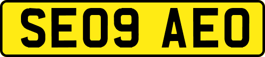 SE09AEO