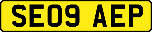 SE09AEP