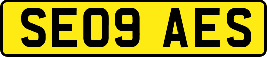 SE09AES