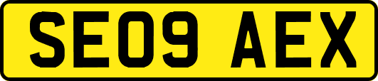 SE09AEX