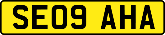 SE09AHA